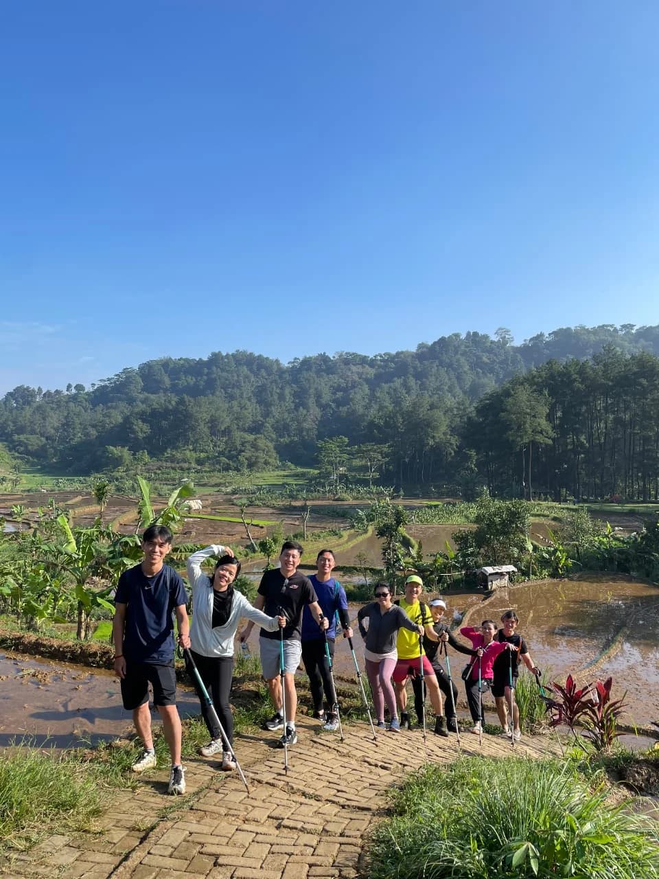 Rombongan peserta trekking berjalan di pematang sawah dengan latar langit biru cerah.