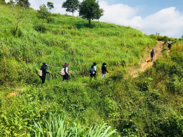 kebun sereh sentul